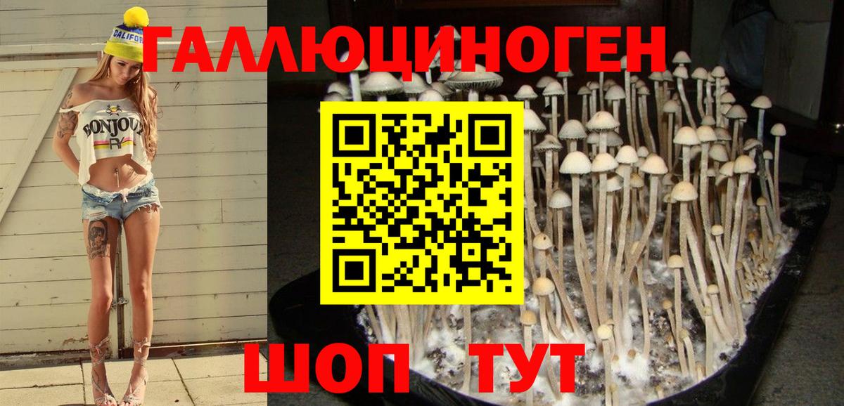 Гай  Псилоцибиновые грибы Magic Shrooms  Вход с VPN 