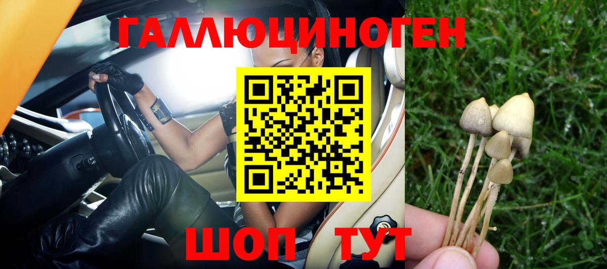 Галлюциногенные грибы MAGIC MUSHROOMS Гай